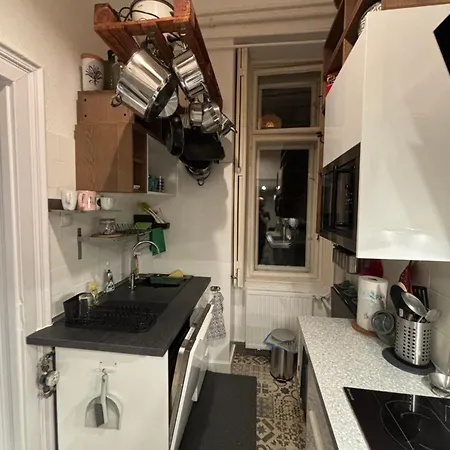 公寓 Massimo's Palace Appartament *