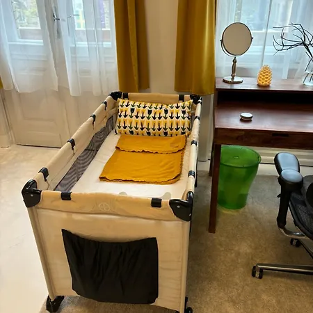 Massimo's Palace Appartament * 布达佩斯